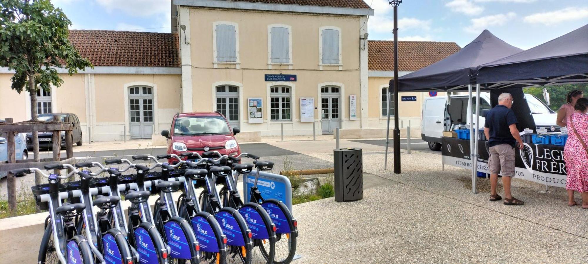 Annexe Du Pont De La Charente Apartment Chateauneuf-sur-Charente Luaran gambar
